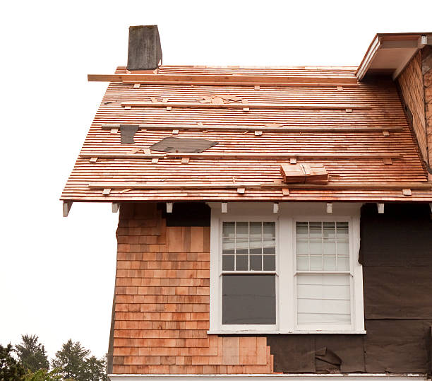 Best Storm Damage Siding Repair  in Stanton, KY